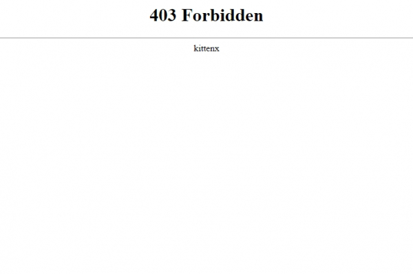 В Красноярском крае начнут искать бездомных собак с помощью дронов после трагедии с мальчиком