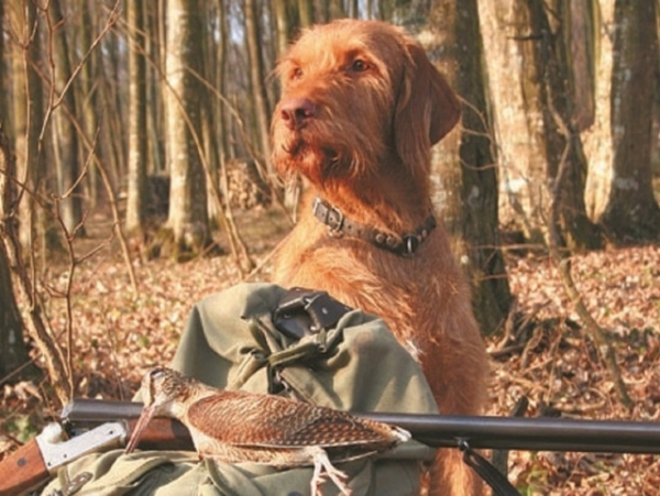 Вильфанд: в начале ноября в Москве будет температура, как в начале октября