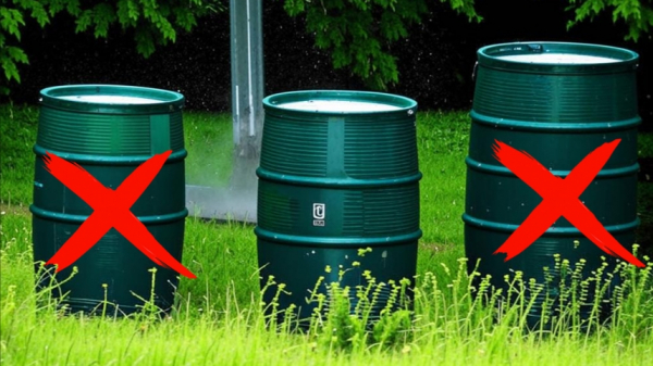 Россиян призвали активно собирать дождевую воду на дачных участках