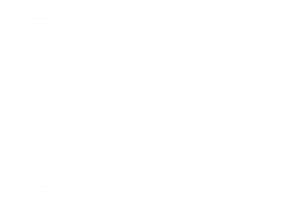 Глава МИД ФРГ отправится в Колумбию на обычном рейсе из-за поломки спецборта